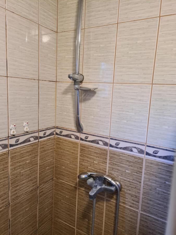 Saray Downtown Apartment Private Parking Free Wifi Sarajevo Exteriér fotografie